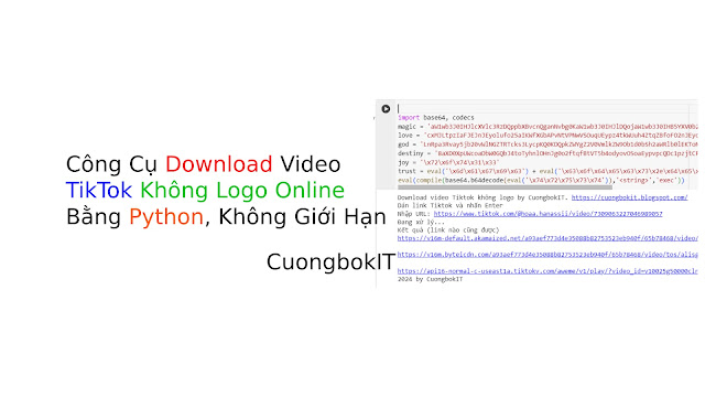 Công Cụ Tải Video TikTok Không Logo, Watermark Online Miễn Phí, Không Giới Hạn Lượt Tải Bằng Python - CuongbokIT