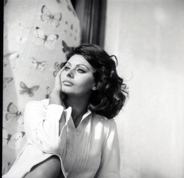 Sophia Loren Profile pictures, Dp Images, Display pics collection for whatsapp, Facebook, Instagram, Pinterest.