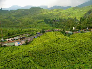 Wisata Puncak di Kota Bogor