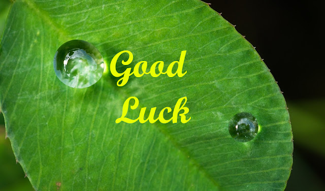 Good Luck,