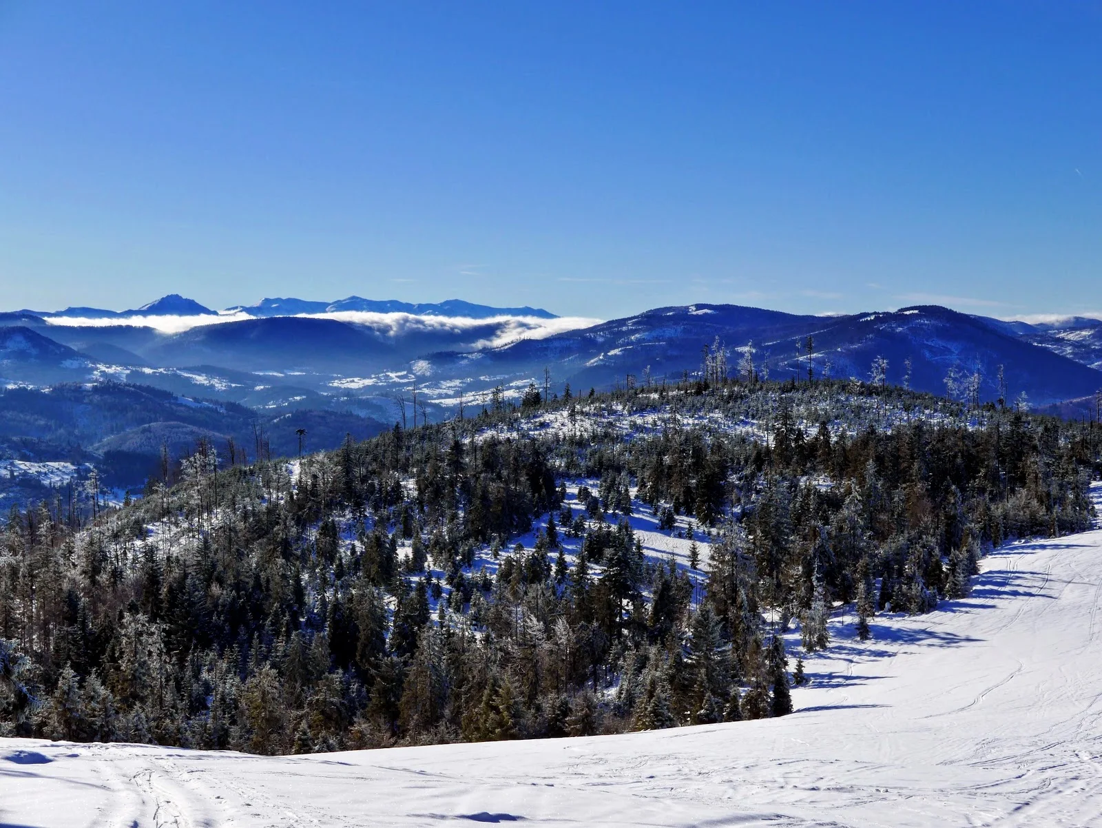 Beskid Żywiecki: Hala Boracza - Rysianka - Romanka