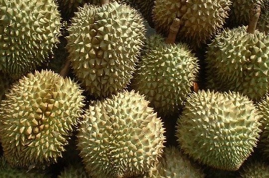  Aneka Manfaat Durian untuk Kesehatan