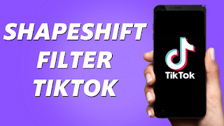 Shapeshifting filter tiktok | How to see which artist you look like by using a shapeshifting filter on Tiktok