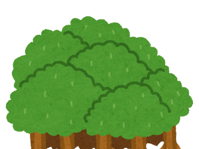 コレクション 森 フリー素材 イラスト 背景 251131-フリー素材 背景 森 イラスト