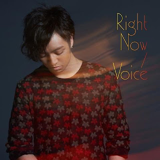 Daichi Miura (三浦大知) - Right Now / Voice