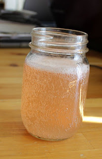 Healthy Water Kefir