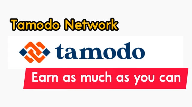 tamodo network