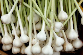 garlic for h1n1 virus