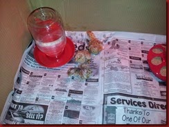 BabyChicks2