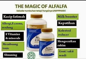 alfalfa kompleks memang best