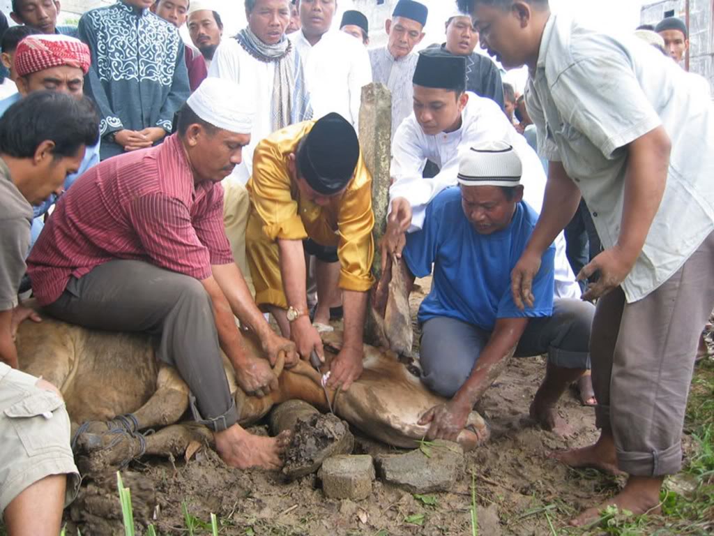 SEJARAH, FIQIH QURBAN