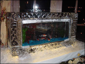 Ice fish tank