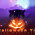 Halloween Cat Yin Lite