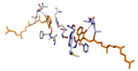 Cyanobacteria Heliobacteria Quinone