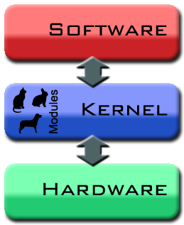 Kernel 3.8.0-13 Kali Linux