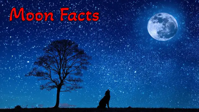 [100+] Amazing & Unbelievable Facts About Moon In Hindi