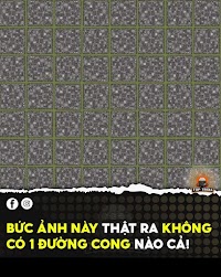 Ảnh ảo giác đường cong