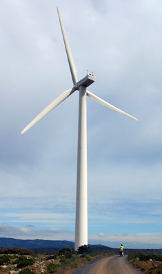 DSCN8840