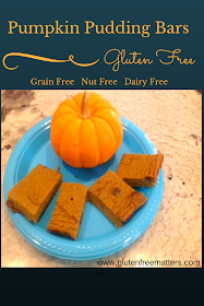 gluten free pumpkin pudding bars