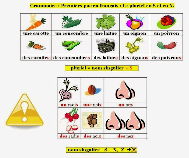 Liczba mnoga rzeczowników - gramatyka 1 - Francuski przy kawie