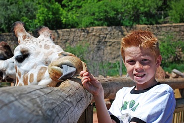 Zoo6