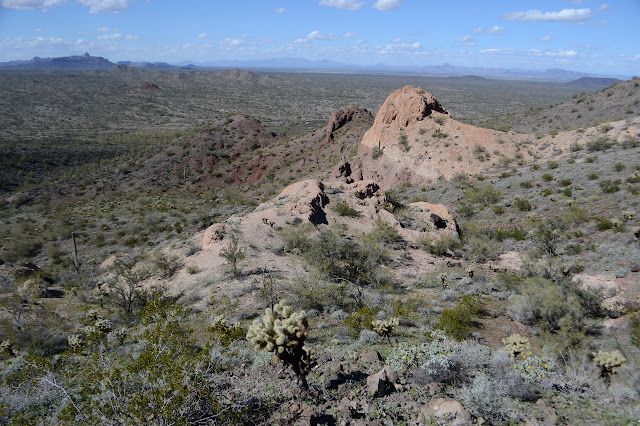 view from a hill