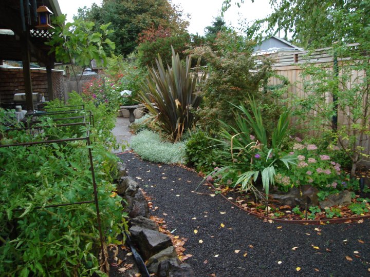 how to landscape Back Yard Creek Landscaping | 720 x 540