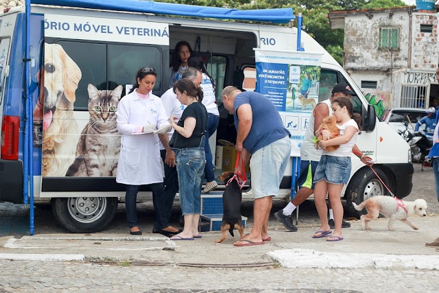 Bairro de Jaboatão recebe consultórios móveis para exames e cirurgias gratuitas de cães e gatos