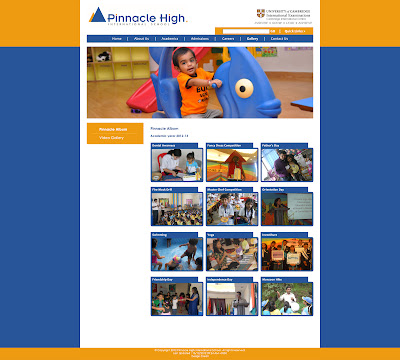 Website Designed for Pinnacle High International School