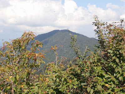 小倉谷山・山頂から見た富士写ヶ岳