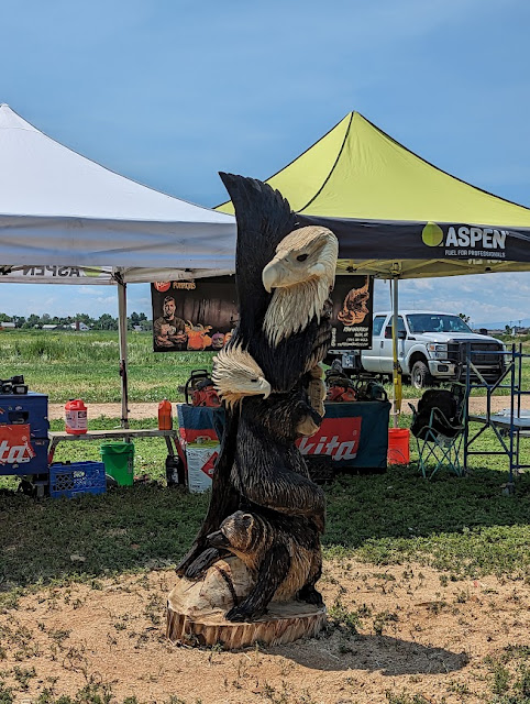 Intertwined two bald eagles, bear and raccoon