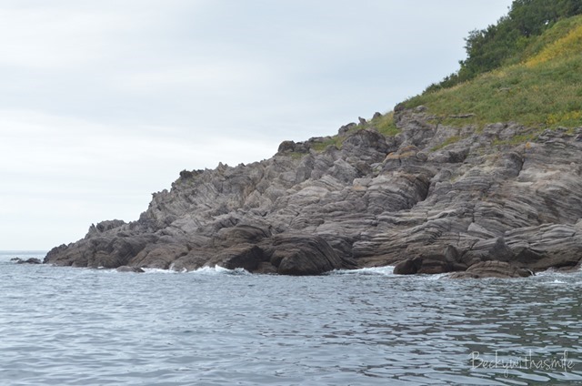 2013-09-21-Shiretoko-128_thumb