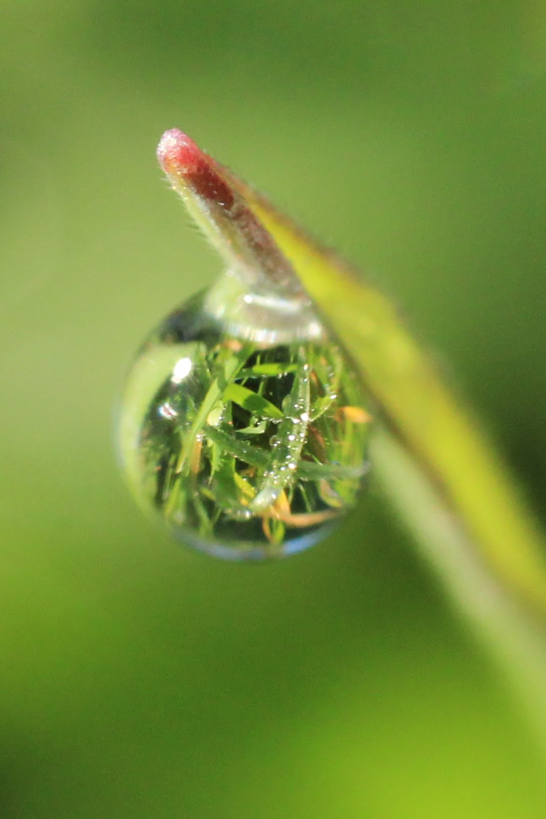 Una gota de agua, un mundo...