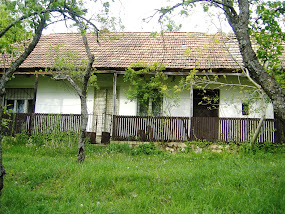 Vitányi-ház