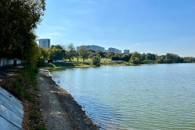 парк Борисовские пруды, Борисовский пруд