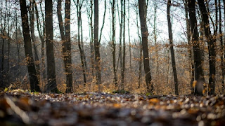 Overcoming Fear and Resistance to Change