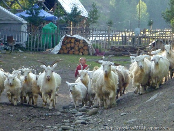 2010-09-09__09_51_2000__Wah