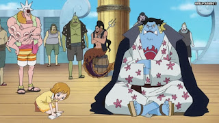 ワンピースアニメ 魚人島編 543話 ジンベエ コアラ 幼少期 | ONE PIECE Episode 543