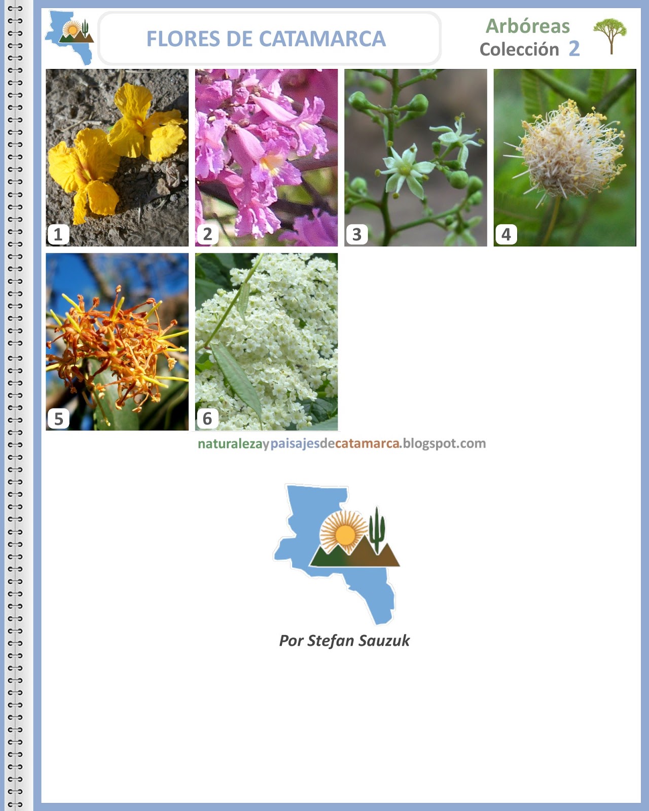 Fotos Y Nombres De Flores Silvestres - Plantas silvestres Mis fotos en InfoJardin Infojardín