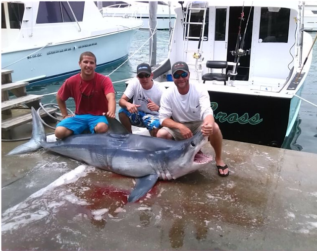 Miami Beach Sword Fishing