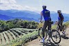 "Trail Tales: Embark on Epic Outdoor Cycling Adventures"