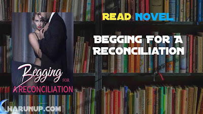 Read Begging For A Reconciliation Novel Full Episode