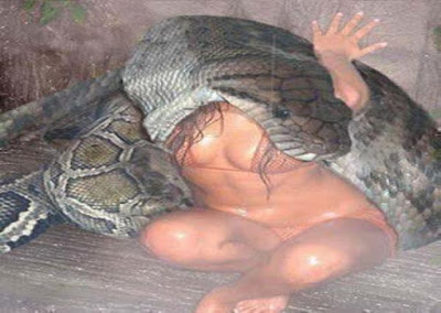 SHOCKING VIDEO!! Evil Man Turns Snake And Swallowed Lady In A Hotel Room - (Photos)