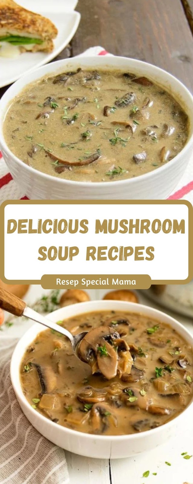 DELICIOUS MUSHROOM SOUP RECIPES