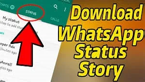 Cara Download Status/Story Whatsapp