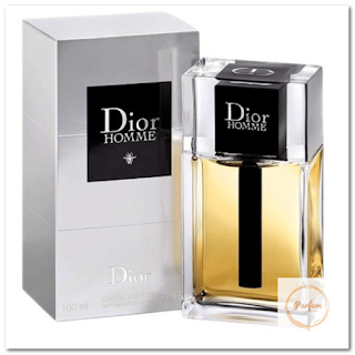 Nước Hoa Dior Homme EDT 100ml - nước-hoa.vn