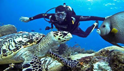 Taman Nasional Wakatobi