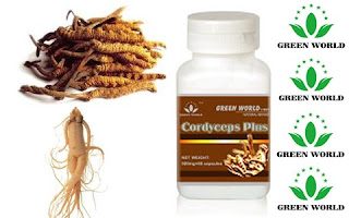 Cordyceps Plus Capsule Green World