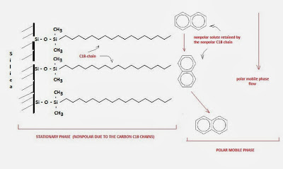Fig. 1: Reversed phase chromatography mechanism. The hydrophobic solute (nonpolar solute) binds to the surface of the hydrophobic (nonpolar) C-18 chain. A more polar mobile phase is used for solute elution to occur. The polarity of the mobile phase is decreased by changing its composition as elution progresses (gradient elution) to speed up the process.