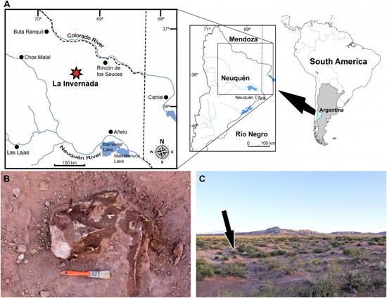 Dinossauro 'Medonho' tipo T-Rex é descoberto na Argentina - Img 3